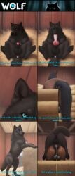 absurd_res ai_assisted ai_generated anal anal_knotting anal_sex animal_genitalia animal_penis anus autofellatio balls black_body black_fur black_pawpads blue_eyes bodily_fluids brown_body brown_fur canid canine canine_genitalia canine_penis canis claws climbing close-up closed_eyes comic cum cum_in_ass cum_inside cum_on_balls duo equid equine feral feral_on_feral feral_penetrated feral_penetrating feral_penetrating_feral feral_penetrating_male front_view fur gaping gaping_anus genital_fluids genitals hay hi_res horse knot knotted knotting looking_aside looking_at_viewer male male/male male_on_feral male_penetrated male_penetrating male_penetrating_male mammal masturbation oral oral_masturbation pawpads paws penetration penile penile_masturbation penis penis_tip polar_(director) rear_view sex sheath smile spread_legs spreading standing startled tail_aside text wolf