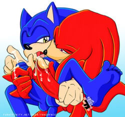 balls couple cum eye_contact fakerface fur hedgehog knuckles_the_echidna looking_at_another male male_only multiple_males no_humans penis sega sex sonic_(series) sonic_the_hedgehog sonknux yaoi