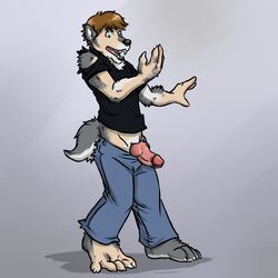 1boy aggrobadger anthro canine clothed clothes erection fur furry human knot male male_only penis solo solo_male transformation vein wolf