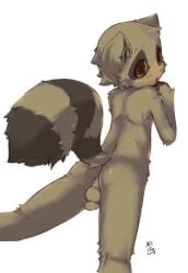 1boy 2025 anus cub furry furry_male lying male male_cub male_focus male_only racoon solo visark