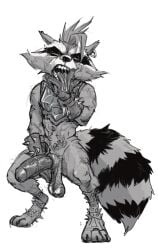 2025 anthro balls bodily_fluids concosive darkened_balls darkened_genitalia ear_piercing ear_ring erection fluffy fluffy_tail genitals guardians_of_the_galaxy hi_res male mammal markings marvel marvel_rivals one_eye_closed penis piercing procyonid pubes raccoon ring_piercing rocket_raccoon rocket_raccoon_(marvel_rivals) saggy_balls saliva saliva_string solo striped_markings striped_tail stripes sweat sweaty_face tail tail_markings tongue tongue_out vein veiny_penis