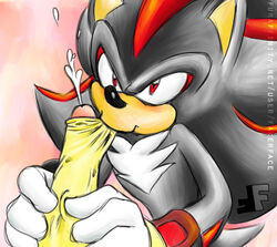 shadow the hedgehog from sega by fakerface