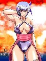 1girls ayane_(doa) dead_or_alive female ninja_gaiden tagme temple_(artist)