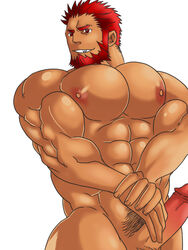 boner erection fate/zero fate_(series) iskandar_(fate) male_only nude rider solo solo_male tagme