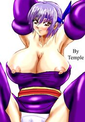 1girls ayane_(doa) dead_or_alive female ninja_gaiden tagme temple_(artist)