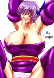 1girls ayane_(doa) dead_or_alive female ninja_gaiden tagme temple_(artist)