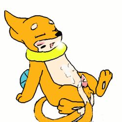 animated buizel furry male_only pokemon tagme