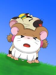 blush boss_(hamtaro) cum doggy_style hamster hamtaro_(series) sex shadowlink350 sparkle_(hamtaro) tagme