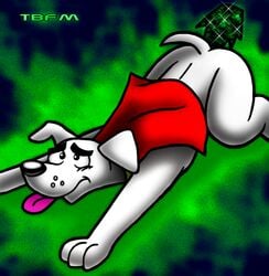 krypto krypto_the_superdog male_only tagme tbfm