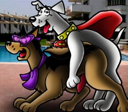 krypto krypto_the_superdog male_only tagme tbfm thundermutt