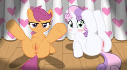 2girls cub female feral feral_female friendship_is_magic my_little_pony nude presenting presenting_hindquarters presenting_pussy scootaloo_(mlp) sweetie_belle_(mlp) young zed001