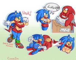 knuckles the echidna from sega by cuisine