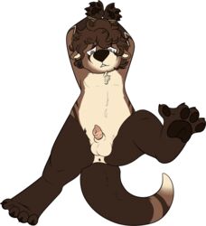 amitabh anthro balls bondage bound male male_only mammal mustelid otter penis solo thirsthound