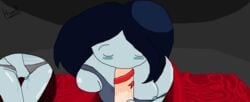 adventure_time breasts female finn_the_human hueci male marceline nipples panties penis uncensored wet wet_panties