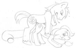 applejack_(mlp) big_macintosh_(mlp) brother_and_sister earth_pony equine female feral feral_on_feral friendship_is_magic fur horse incest male my_little_pony pony shostyle smooth_skin straight