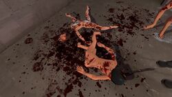 1girls 3boys 3d blood death decapitated_head demoman demoman_(team_fortress_2) female female_death garry's_mod gore guro human human_female human_male human_only male mostly_offscreen_character murder scout scout's_mother scout_(team_fortress_2) sniper sniper_(team_fortress_2) team_fortress_2