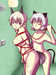 2girls arms_behind_back bondage breasts cat_ears cat_tail eila_ilmatar_juutilainen fingering flat_chest fox_ears fox_tail himero multiple_girls naked purple_eyes rope_bondage rope_harness sanya_v_litvyak silver_hair small_breasts strike_witches tagme world_witches_series yuri