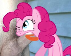 animal animated boggle friendship_is_magic my_little_pony pinkie_pie_(mlp) straight_hair