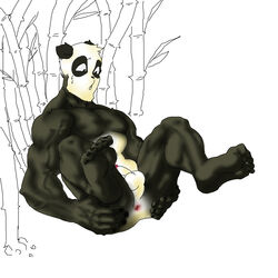 ankama anthro male_only pandawa tagme wakfu