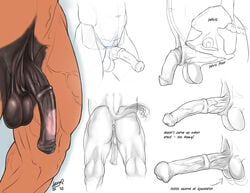 1male 2010 abs anatomy anthro anus ass backsack balls bone equine erection flaccid heavy_penis horse horseballs horsecock male male_only medial_ring multiple_angles muscles nude penis penis_visible_through_thighs plain_background sheath skeleton testicles testicles_clench trogan underpenis vein white_background