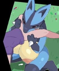 female_lucario lucario tagme video