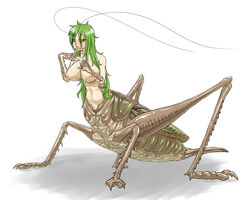 1girls abdomen antenna antennae arthropod big_breasts breasts brown_eyes cricket cum cum_on_breasts cum_on_face female grasshopper green_hair hair human_being_bizarre insect_taur insects pussy solo solo_focus taur