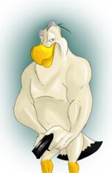 anthro avian bird darkwing_duck derek_blunt disney frothing_lizard male_only solo tagme