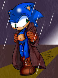 anthro clothes color fur furry gloves hedgehog male male_only neokat open_clothes penis rain solo sonic_(series) sonic_the_hedgehog tagme