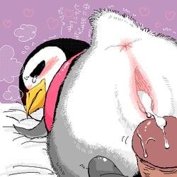 animal_crossing anus aurora_(animal_crossing) nintendo pussy source_request tagme year_request