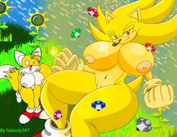 furry genderswap_(mtf) hedgehog mammal miles_tails_prower nobody147 rule_63 sonic_(series) sonic_the_hedgehog sonic_the_hedgehog_(series) sonic_the_hedgehog_2 super_sonic tails