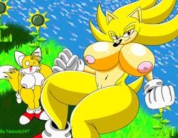 furry genderswap_(mtf) hedgehog mammal miles_tails_prower nobody147 rule_63 sonic_(series) sonic_the_hedgehog sonic_the_hedgehog_(series) sonic_the_hedgehog_2 super_sonic tails