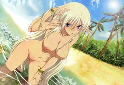 alleyne blonde_hair blue_eyes breasts female long_hair nipples nude pointy_ears queen's_blade tagme