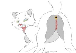 1girls anus artist_request ass ass_focus disney duchess_(the_aristocats) feral house_cat looking_back presenting_pussy pussy the_aristocats tongue tongue_out white_fur