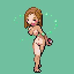 1girls aroma_lady_(pokemon) aroma_lady_(pokemon_oras) breasts dodododo female green_background nipples npc_trainer nude nude_female pixel_art pokemon pokemon_rse solo sprite