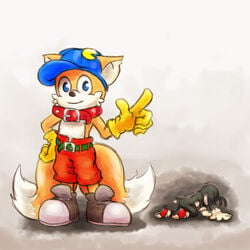 color cosplay cute fox fur furry furry_tail klonoa klonoa_(cosplay) klonoa_(series) male male_only multiple_males multiple_tails sonic_(series) tail tails