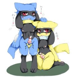 2futas anthro censored fukami furry futanari intersex pokemon riolu tagme