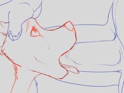 animated dog-bone furry oral penetration penis sucking tongue