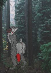 Anthro Rule 34 Image