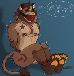 4 Toes Rule 34 Image