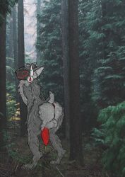 Keith (Keithogen) Rule 34 Image