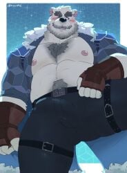 abs anothereidos_of_dragon_vein_r anthro bear beard belt blush body_hair bottomwear bulge chest_hair clothed clothing detailed_bulge eye_scar facial_hair facial_scar fingerless_gloves fur genital_outline gloves handwear hi_res jacket kiba24 low-angle_view male mammal manly mature_male muscular muscular_male nipples open_clothing open_jacket open_topwear pants pecs penis_outline polar_bear scar sigvaldi_(anothereidos_r) solo thigh_strap topwear ursine white_body white_fur