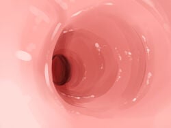 anus artist_request ass close-up internal_view spread_anus tsubame_(pixiv) uncensored x-ray