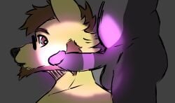 anthro arsen_dadrim_rebello balls belly brapion canid canine canis domestic_dog dragon duo genitals glowing glowing_genitalia glowing_penis heart_eyes heart_symbol hi_res lizard male male/male mammal mr.brapion mythological_creature mythological_scalie mythology penis reptile scalie
