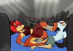 bandage bandages bird box boxing boxing_ring fight fighting fighting_ring gamsobart_(artist) kangaroo kangaroo_girl kangaroo_humanoid muscular muscular_female secretary_bird