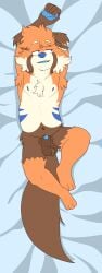 absurd_res ailurid animal_genitalia animal_penis blue_eyes body_pillow canine_genitalia canine_penis dakimakura dakimakura_design dakimakura_pillow dakimakura_pose fur genitals hi_res knot knot_in_sheath knotted_penis lying male mammal multicolored_body multicolored_fur nude on_back orange_body orange_fur penis pillow red_panda sheath solo solo_focus