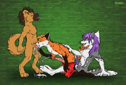 anthro blue_eyes brown_fur canine cubey cum cum_in_mouth cum_inside fluffy_tail fox fur grey hair husky k9 lester lesterhusky long_hair male mammal mutt penis purple purple_hair threesome witek yaoi