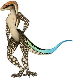 anthro breasts female lizard nude paint_(artist) pussy scalie sketch skink solo standing