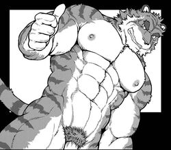 1boy anthro feline fur furry jin_(artist) male male_only muscles penis solo tiger