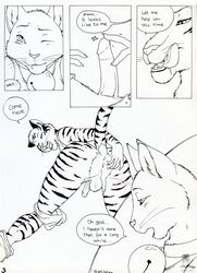 anthro anus balls comic erection feline fur furry jaleo male penis tiger