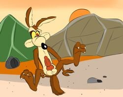 2018 animal_genitalia animal_penis anthro balls black_nose brown_fur canine canine_penis coyote digital_media_(artwork) erection fur knot looney_tunes male male_only mammal nude paws penis prometheusblack smooth_fur solo spread_legs spreading toony warner_brothers wile_e._coyote